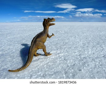 # Salar de Uyuni: A Whimsical Photographer's Persp...
