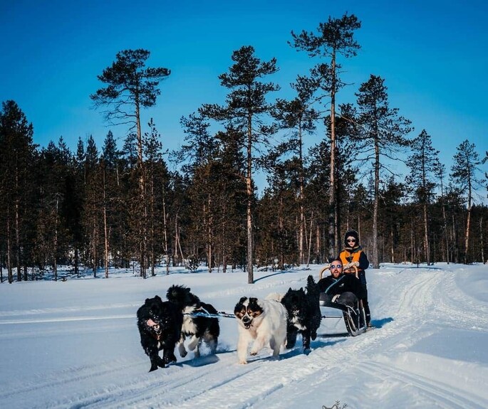 A mobile sauna being pulled by a snowmobile through a snowy landscape. The alt text describes the unique experience of sauna sledding in Finnish Lapland, highlighting the blend of adventure and relaxation.