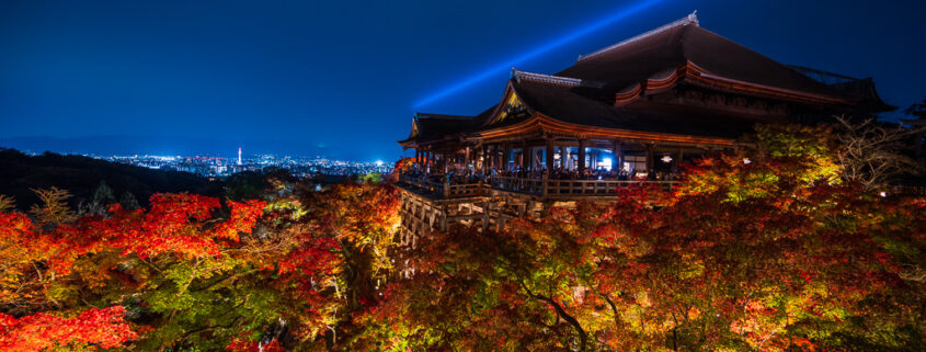 # Kyoto in Autumn: A Homecoming of Flavors and Mem...