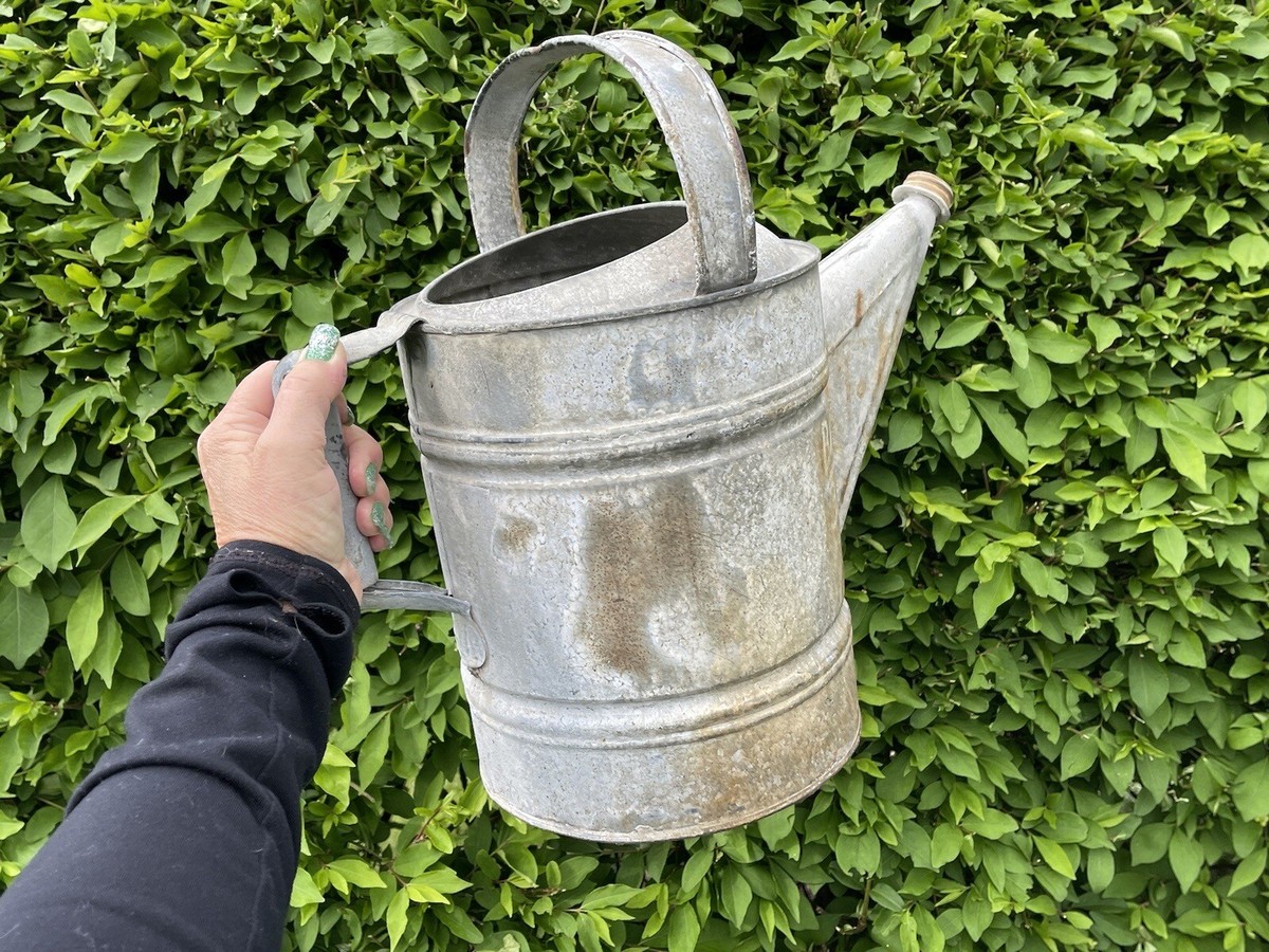 Galvanized bucket with herbs farmhouse