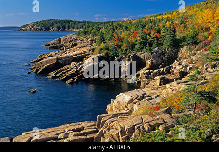 # Acadia National Park Fall Foliage: A Foodie's Ph...