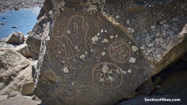 Bioluminescent plankton on Rialto Beach, Olympic National Park