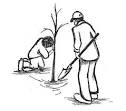 Revive & Thrive: Embrace Sustainable Homesteadi...