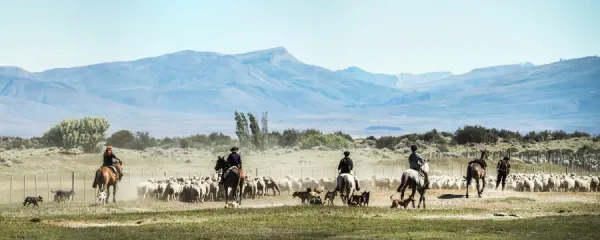 Gauchos herding cattle across the Patagonian plains, with Torres del Paine in the background, capturing the essence of the Patagonian landscape and gaucho culture.