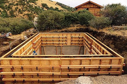Building a Backyard Food Forest: From Lawn to A...