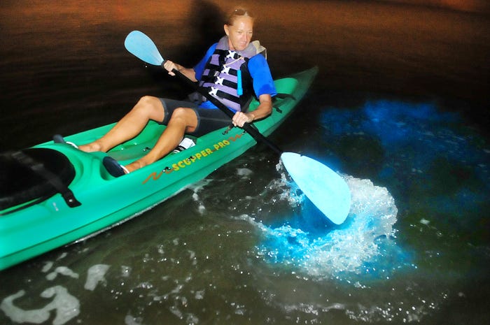 # Dive into Discovery: Unique Sea Adventures for t...