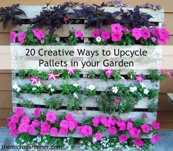 Different options for upcycling pallets into vertical gardens.