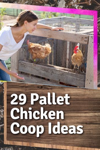 An example of a completed DIY chicken coop with a run