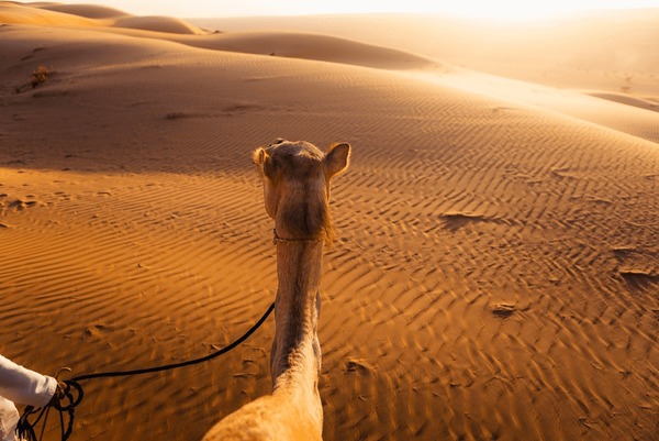 Via Ferrata Al Jabal Al Akhdar