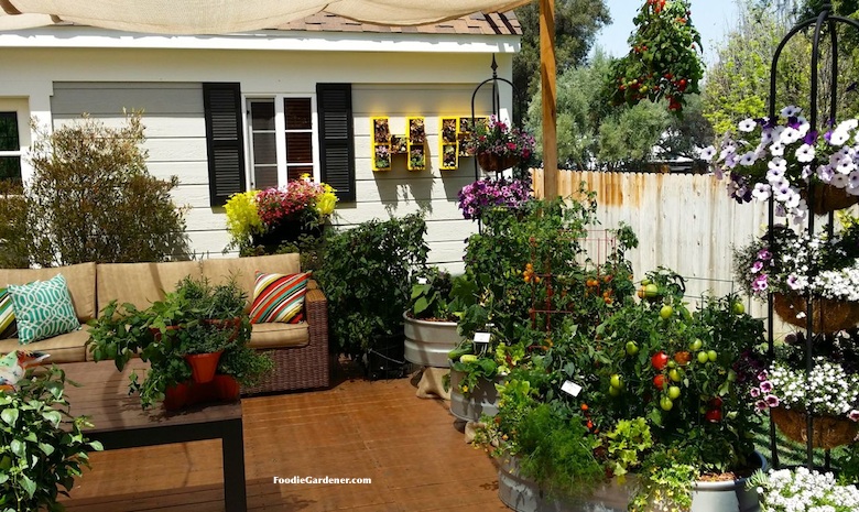 Tiny Space, Big Taste: Growing a Container Vege...