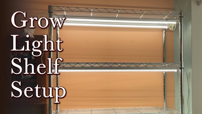 A person watering seedlings on a seed starting shelf.