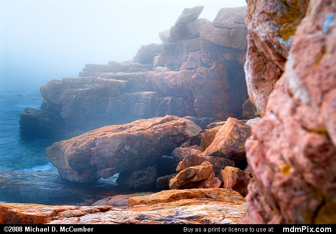 # Acadia: My Unexpected Love Affair (Almost Didn't Happen