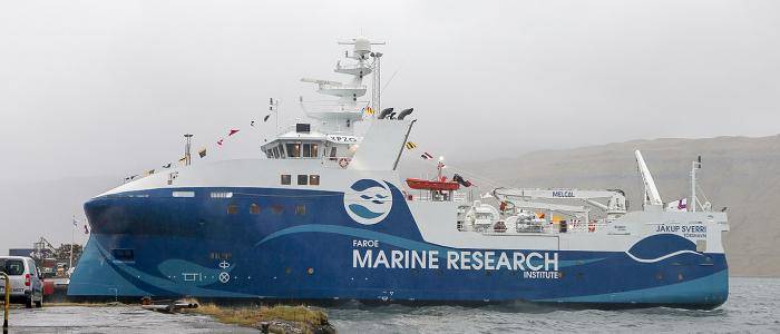 Divers planting coral on a reef. Alt text: Divers plant young coral fragments on a reef, an important step in the reef restoration process facilitated by citizen science.
