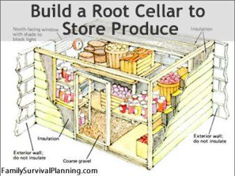 construction materials tools organized outdoors