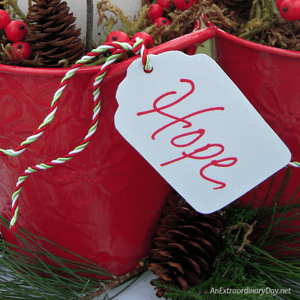 Advent-Week-1-What-is-Your-Hope-AnExtraordinaryDay.net_.png