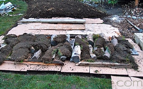 Permaculture for Beginners: Designing Your Dream...