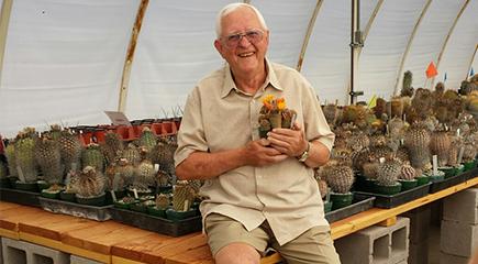 Atacama Desert CAM plant with succulent leaves