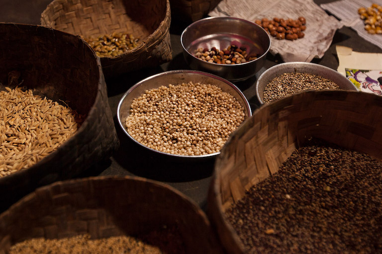Seed Saving 101: Your Guide to a Self-Sufficien...