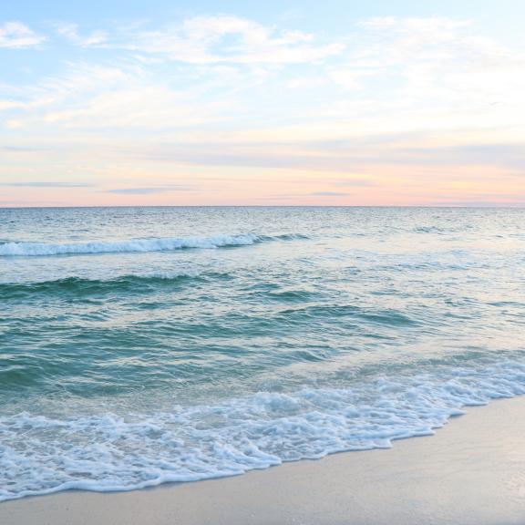 # Untethered Shores: Beaches for a Digital Detox...