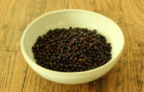 Beyond Bouquets: Uncommon Ways to Harvest Herbs...