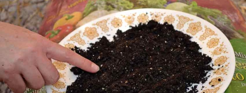 Close up of potting soil