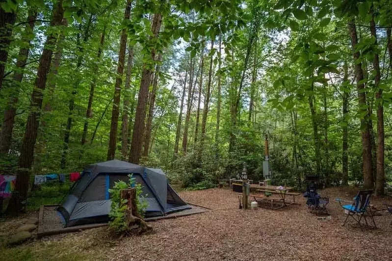 Campground Family Fun