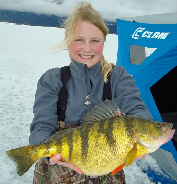 Skier carving through powder reveals wildflowers underneath