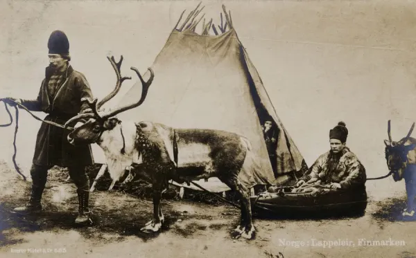 Reindeer sledding in Finnmark