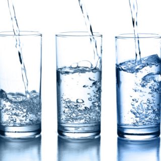 Water-Wise Gardening