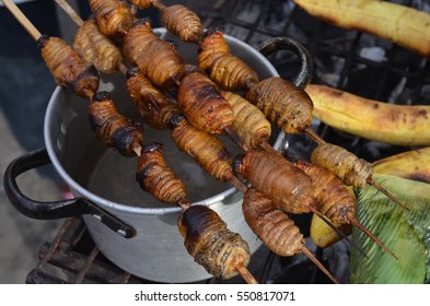 A wide shot of the Ese Eja community members working alongside tourists at Refugio Amazonas, showcasing their traditional attire and the sustainable tourism practices they employ to preserve their culture and environment