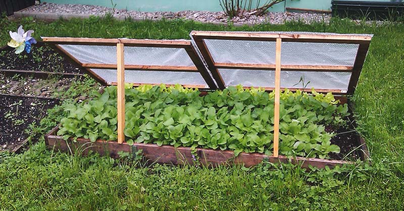 Close up of plastic sheeted over a cold frame.