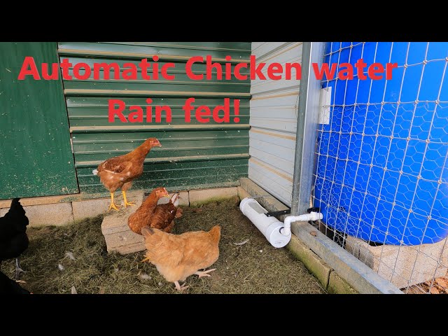 DIY Chicken Waterer