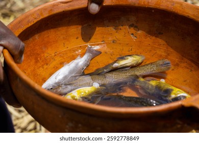 A detailed shot of the totora reeds, highlighting their texture, color variations, and importance to the Uros culture.