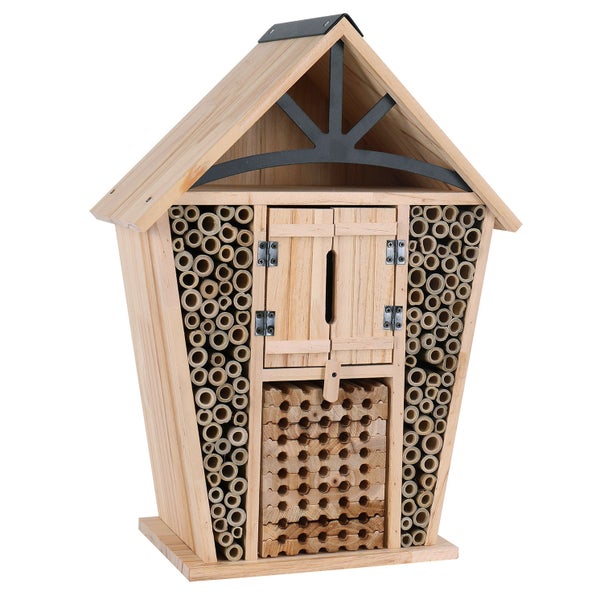 Blooming Buzz: Create a Backyard Pollinator San...