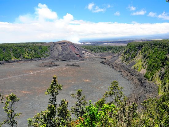 A panoramic drone shot showcasing the vast expanse of reforested land, highlighting the contrast between the reforested area and the surrounding landscape