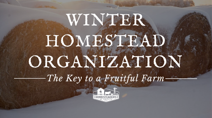 Winter Homestead Organization