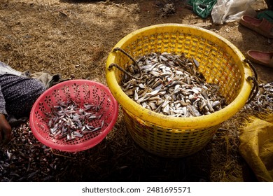 # Siem Reap on a Shoestring: Beyond Angkor Wat's S...