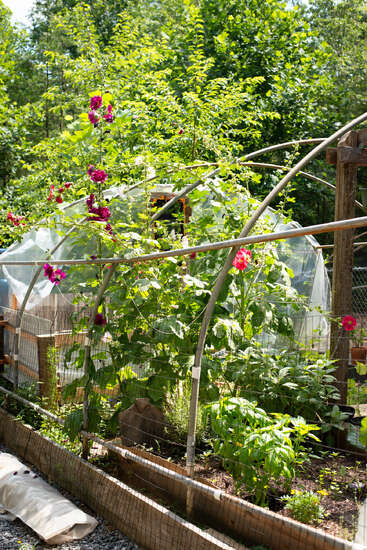 Homestead Pickling