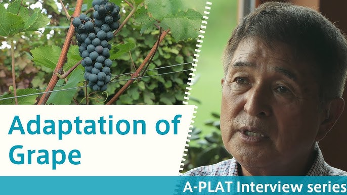 Ice Fishing on Lake Shikaribetsu