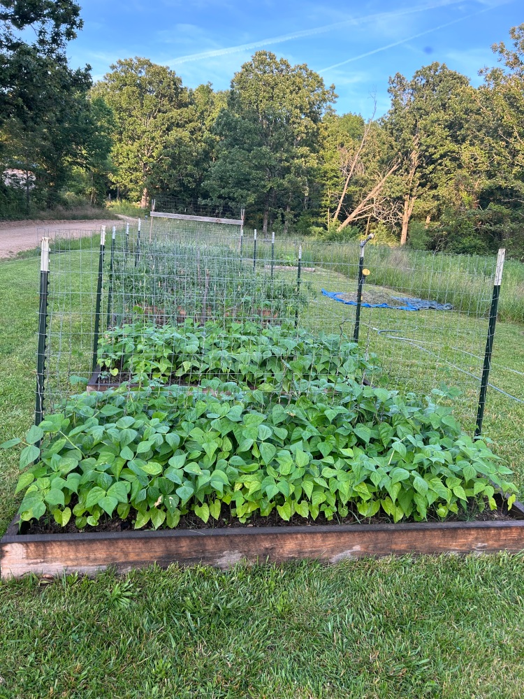 Building a Resilient Pantry with Regenerative G...