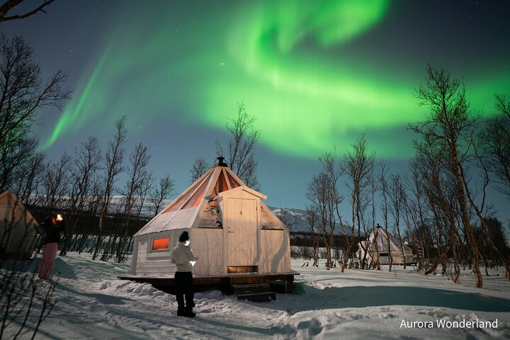 # Chasing Aurora: Unforgettable Winter Adventures...