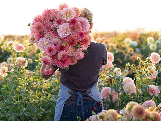 flower dropdown