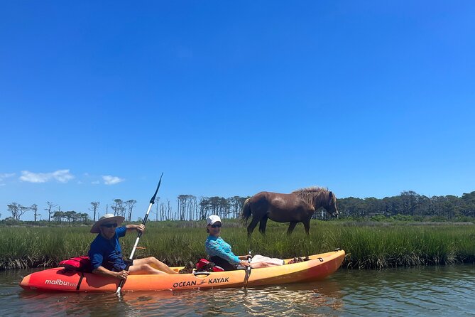 Drone view of the Assateague coastline with wild horses running on the beach