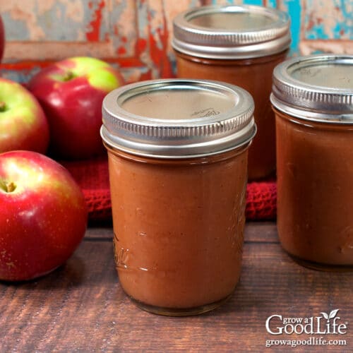 Close-up of jars of apple butter