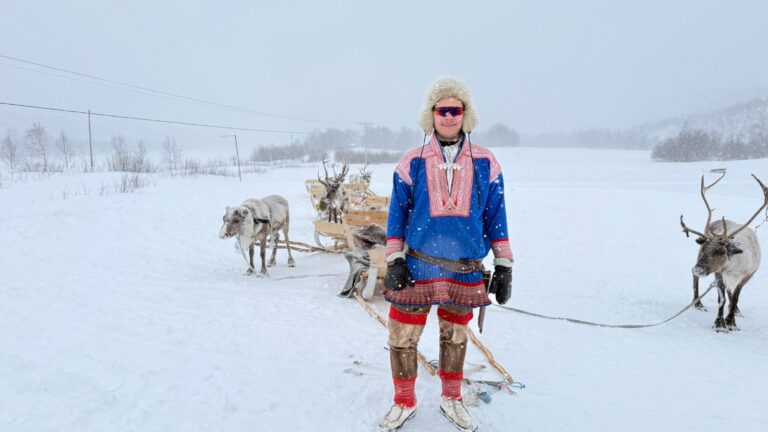 Reindeer sledding through a snowy forest
