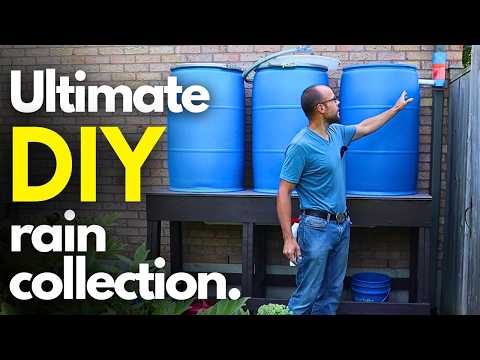 Various configurations of interconnected rain barrels for increased water storage.