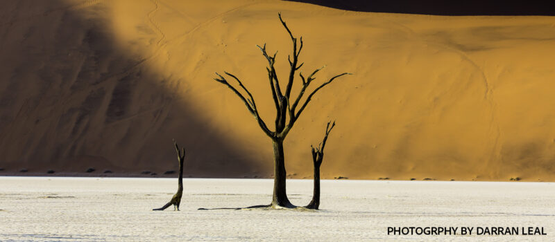 Barefoot in the Namib Desert at Dawn