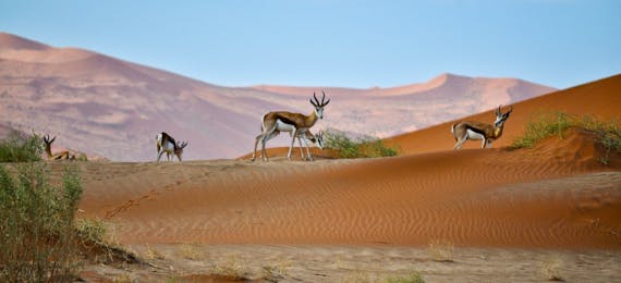 Tall Ship sailing through turquoise waters
