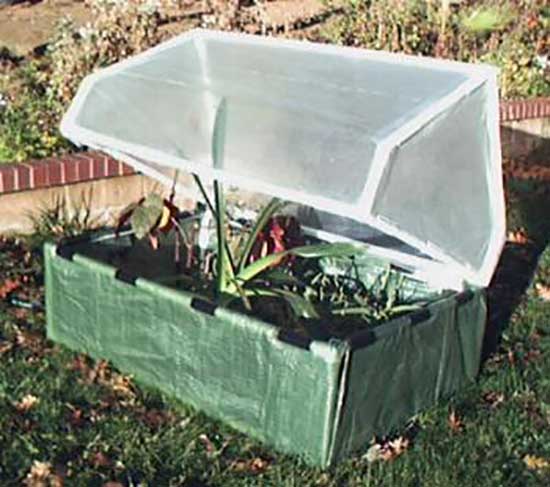 A cold frame constructed with clear plastic, allowing maximum sunlight penetration.