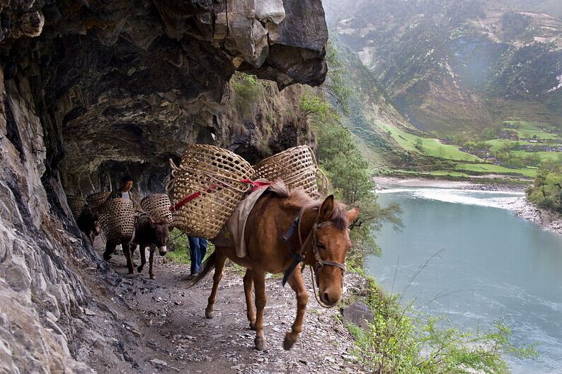 Trekkers on the Tea Horse Road with a Mountain backdrop